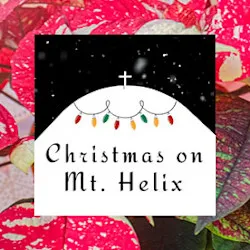 Looking Up: A December Evening on Mount Helix